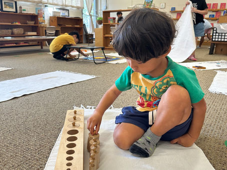 Montessori and the Beauty of Work
