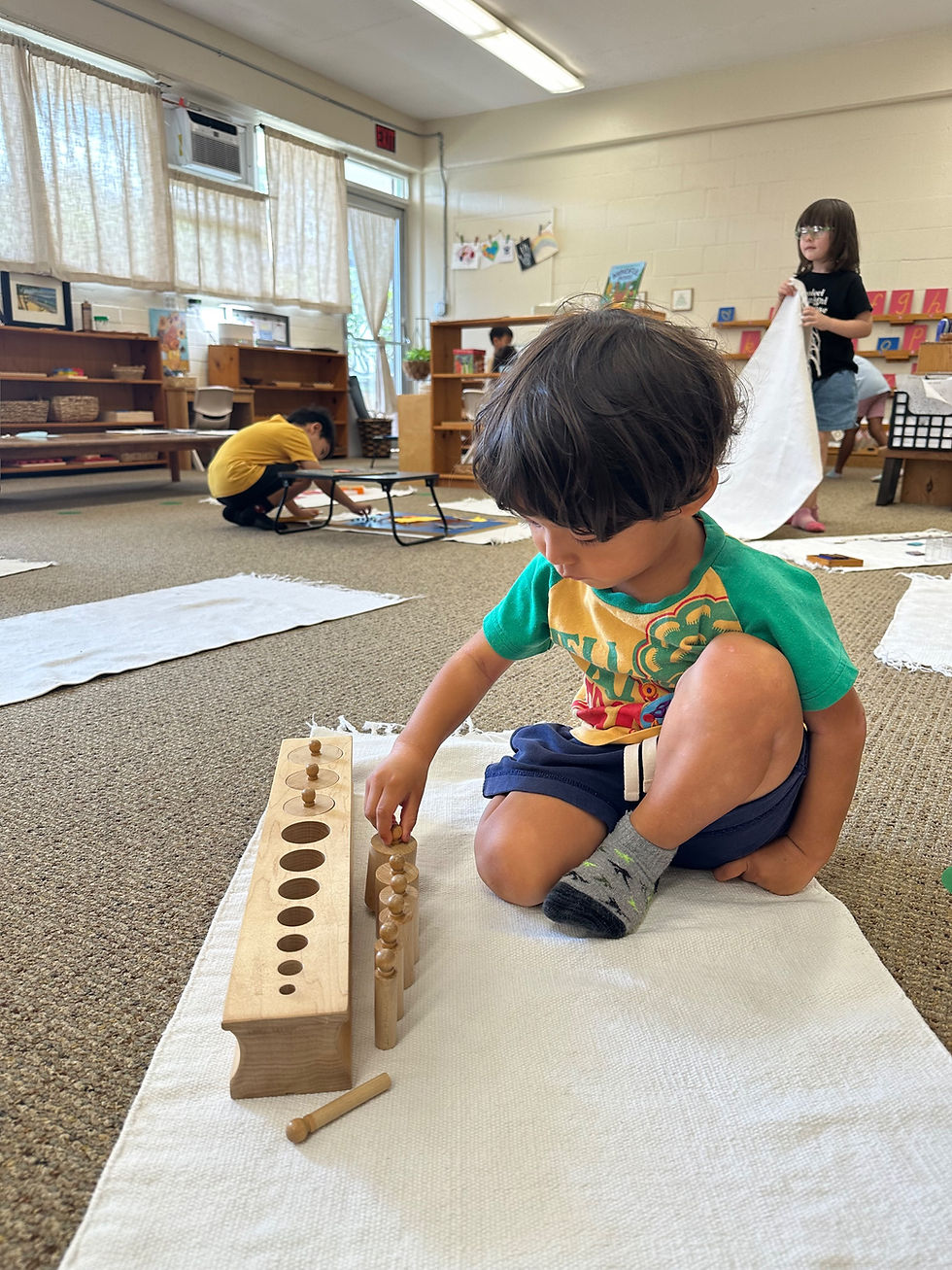 Montessori and the Beauty of Work