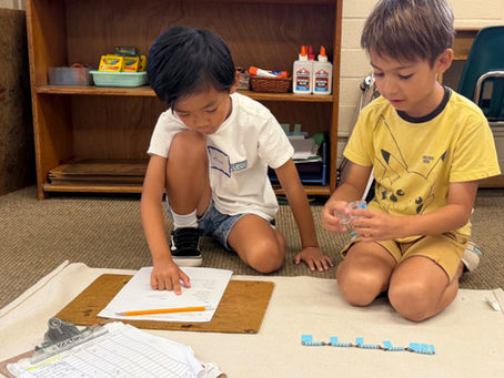 Why Being in a Multi-Age Classroom Matters