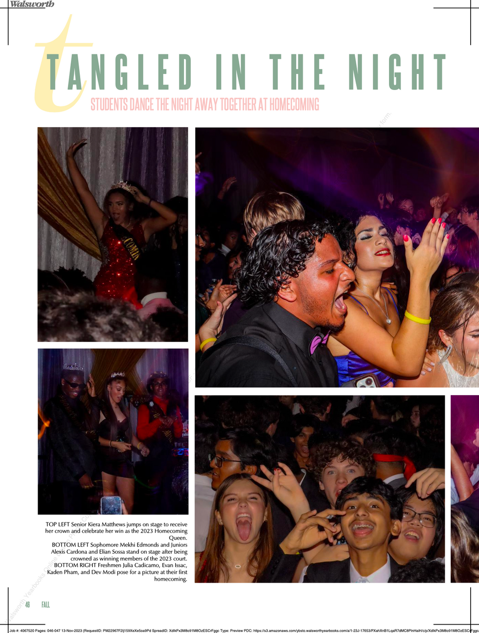 Tangled In The Night pg.1