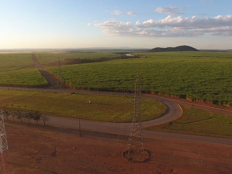 Lei cria exceção temporária à territorialidade do PROGOIÁS em casos de força maior