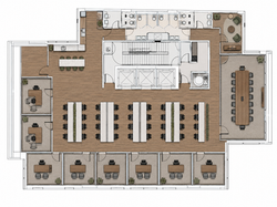 Planta Sinergy 02