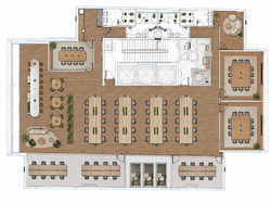 Planta Sinergy 08