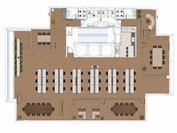 Planta Sinergy 03