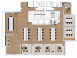 Planta Sinergy 05