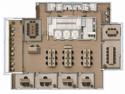 Planta Sinergy 17