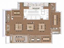 Planta Sinergy 04