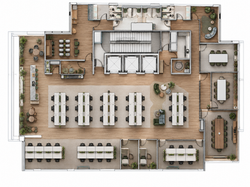Planta Sinergy 16