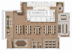 Planta Sinergy 10