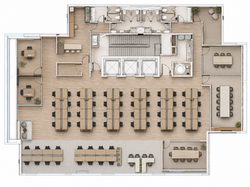 Planta Sinergy 01