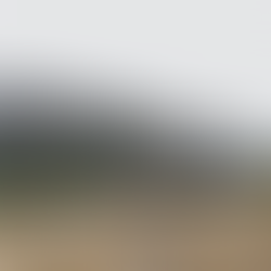 Purchase College's Approach to Combating SUNY Enrollment Declines and Closures