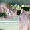 Thumbnail: Dusky Pink Cotton Muslin