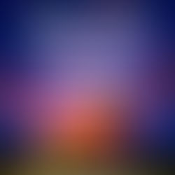 La CAM CUP son retour