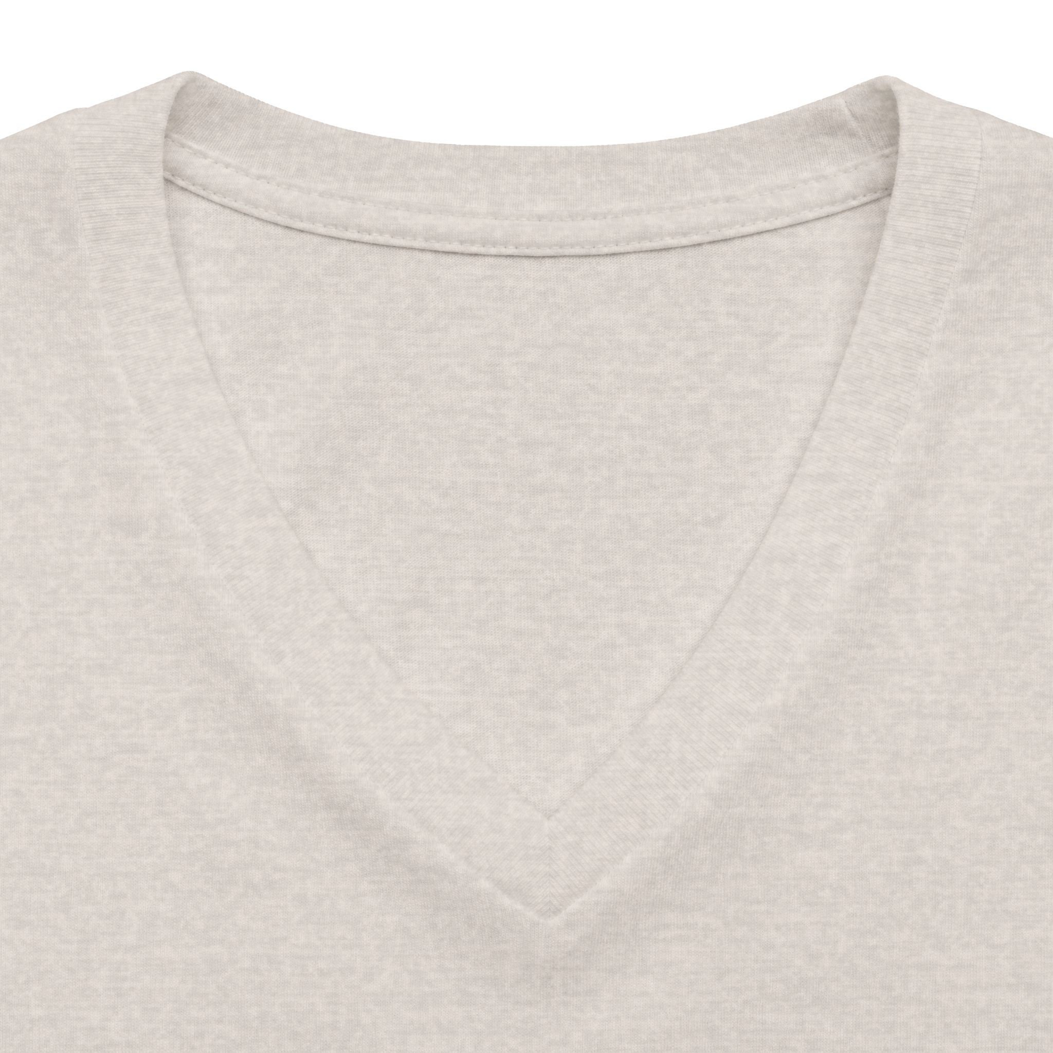 Japanese Crane Tattoo Art Women's V-Neck T-Shirt