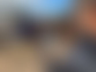 Newsletter Cattler Latam #13 