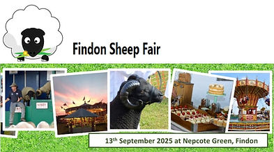 Findon Sheep Fair 2025.jpg