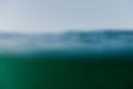 fellipe-ditadi-DXwc_D-Vico-unsplash.jpg