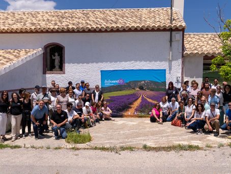 «Descubrimos el Territorio Lavanda. Rutas y Espacios Esenciales»