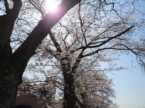 4月ももうすぐおわりですね