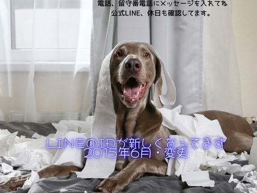 10月8日𝘞𝘦𝘥𝘯𝘦𝘴𝘥𝘢𝘺（定休日）