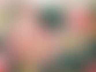 今年も一年ありがとうございました。