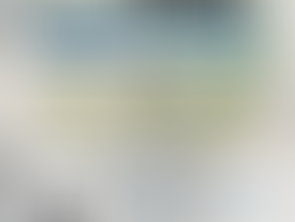 11月29日（火）ご予約状況