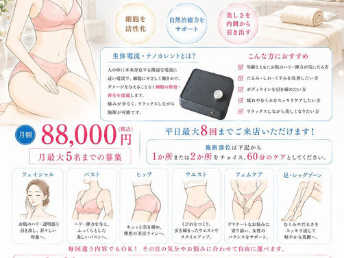 【整体電流・ナノカレント 特別会員募集】