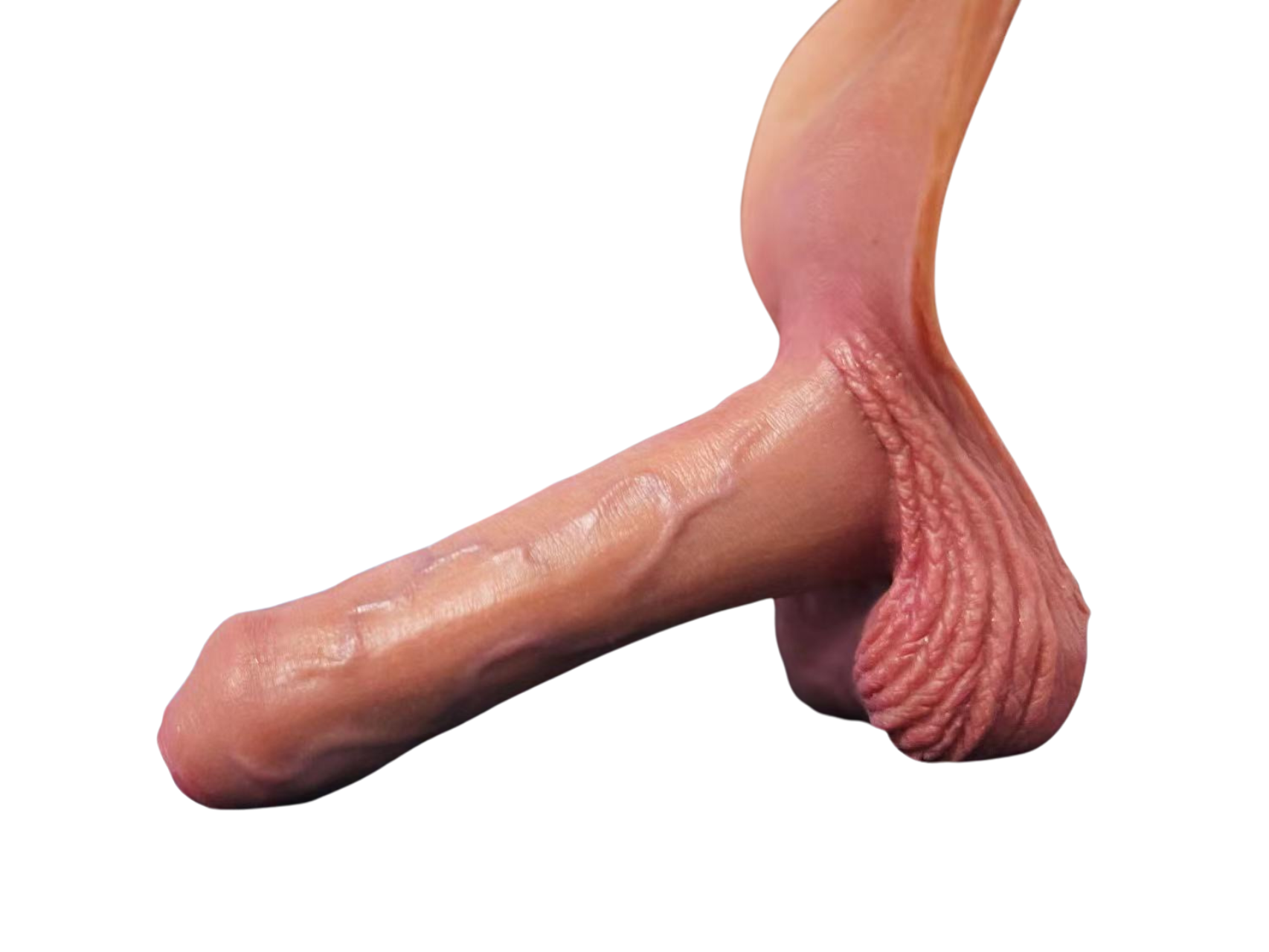 Mr.George with harness