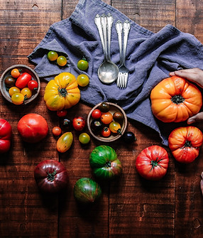 Food and Agriiculture
