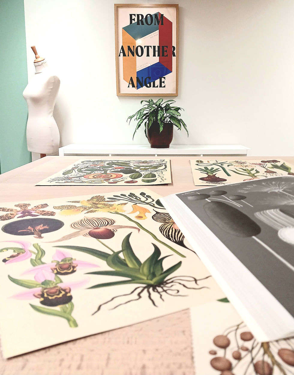 BOTANIA - DESSIN BOTANIQUE