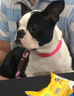 Justin and Precious getting CERF and Cardio done (2)