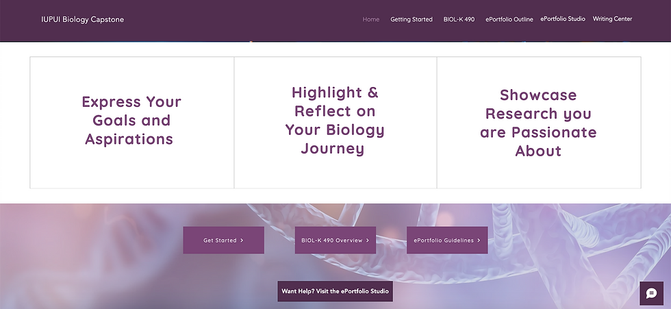 Homepage cont.