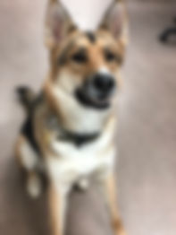 Dakota.jpg