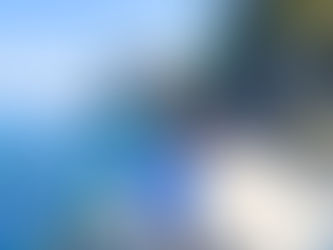 The Ultimate Guide to a Catalina Island Trip: Things to Do, Eat + Stay