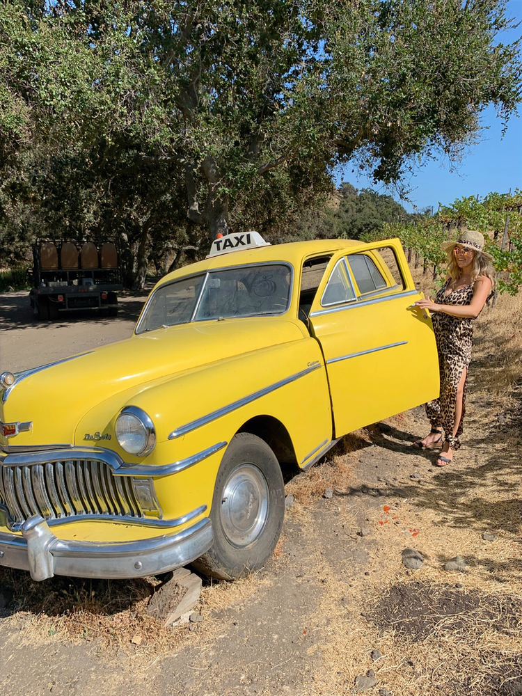 What to Do in Malibu California 6 Spots You Have To Visit