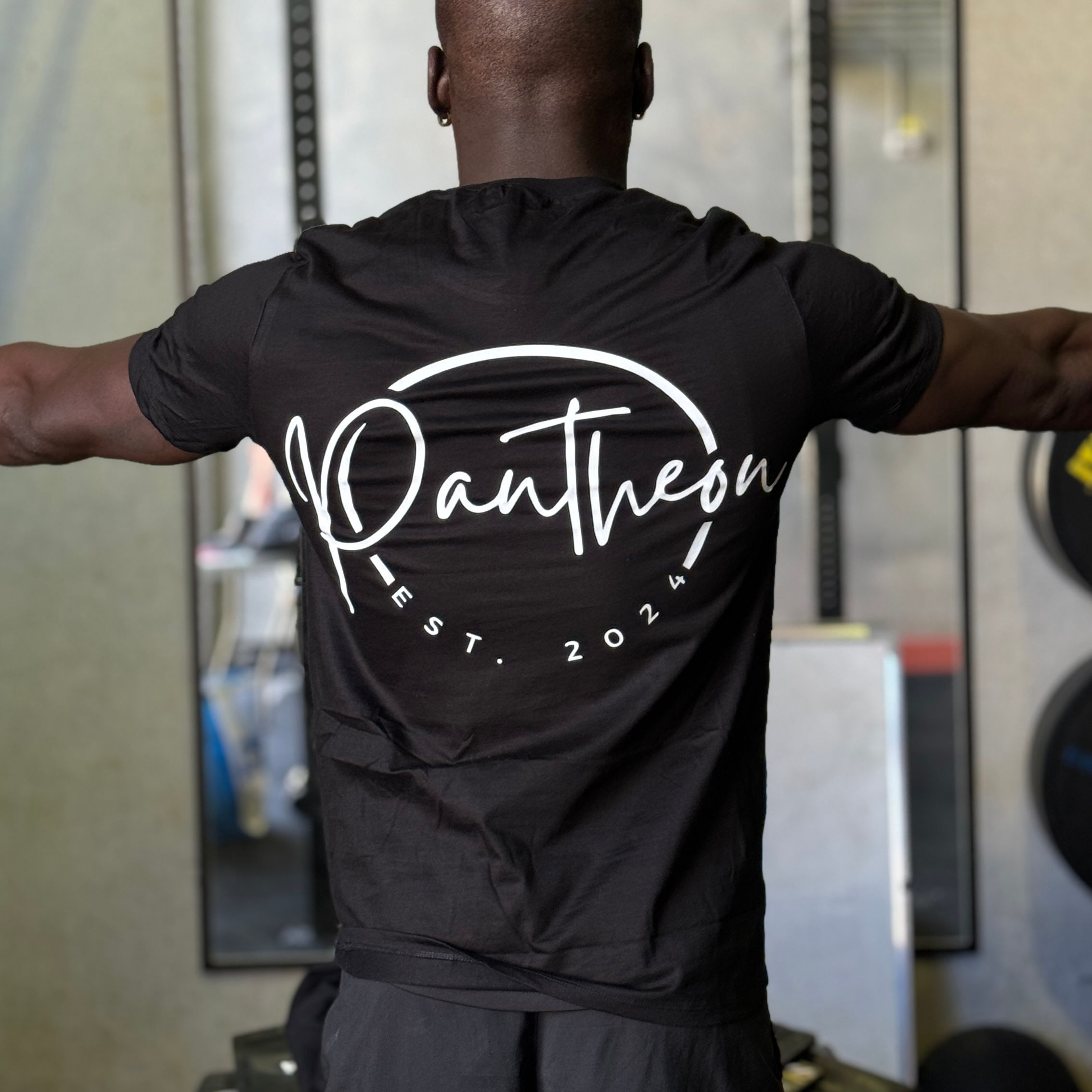 Pantheon Tee