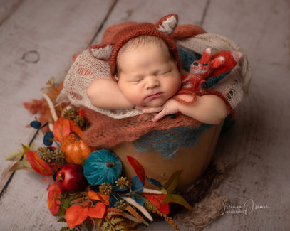 Cotswolds Newborn Photography