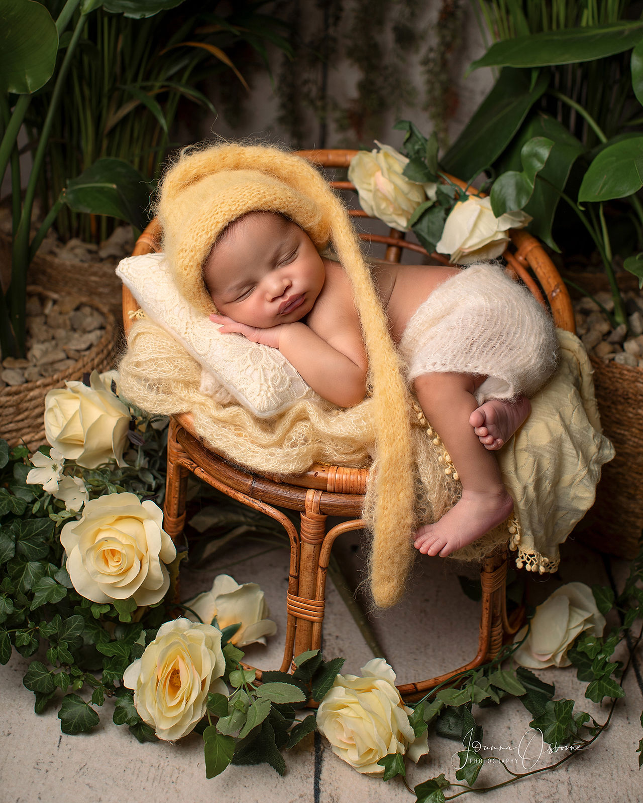 Newborn Photoshoot Newbury