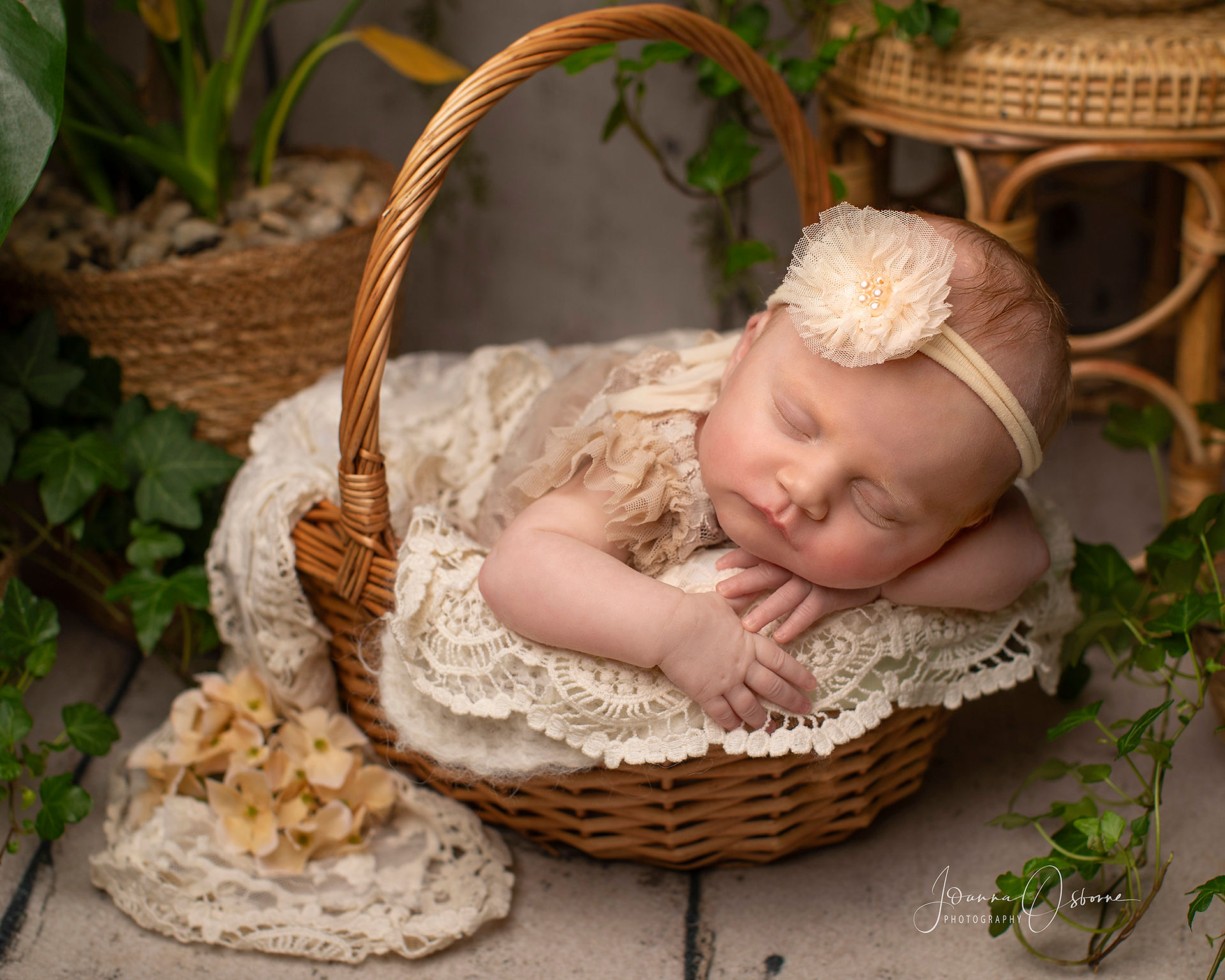 One month old baby photoshoot