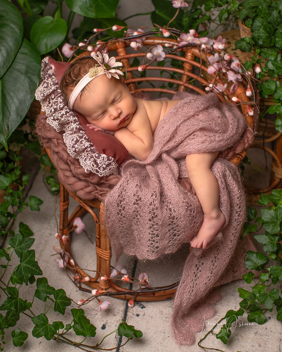 Thumbnail: Newborn 10 High Resolution Images Direct Download