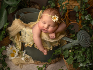 Newborn Photography Gloucestershire