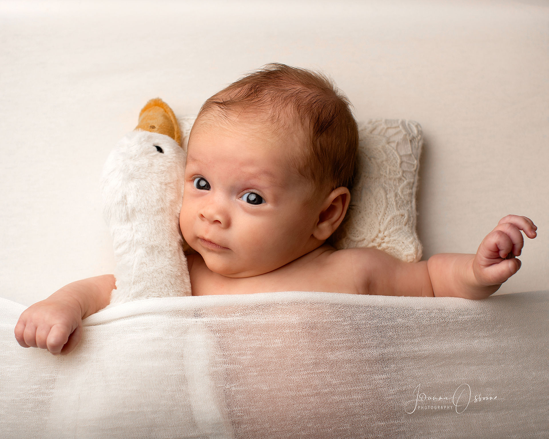 One Month Old Baby photoshoot