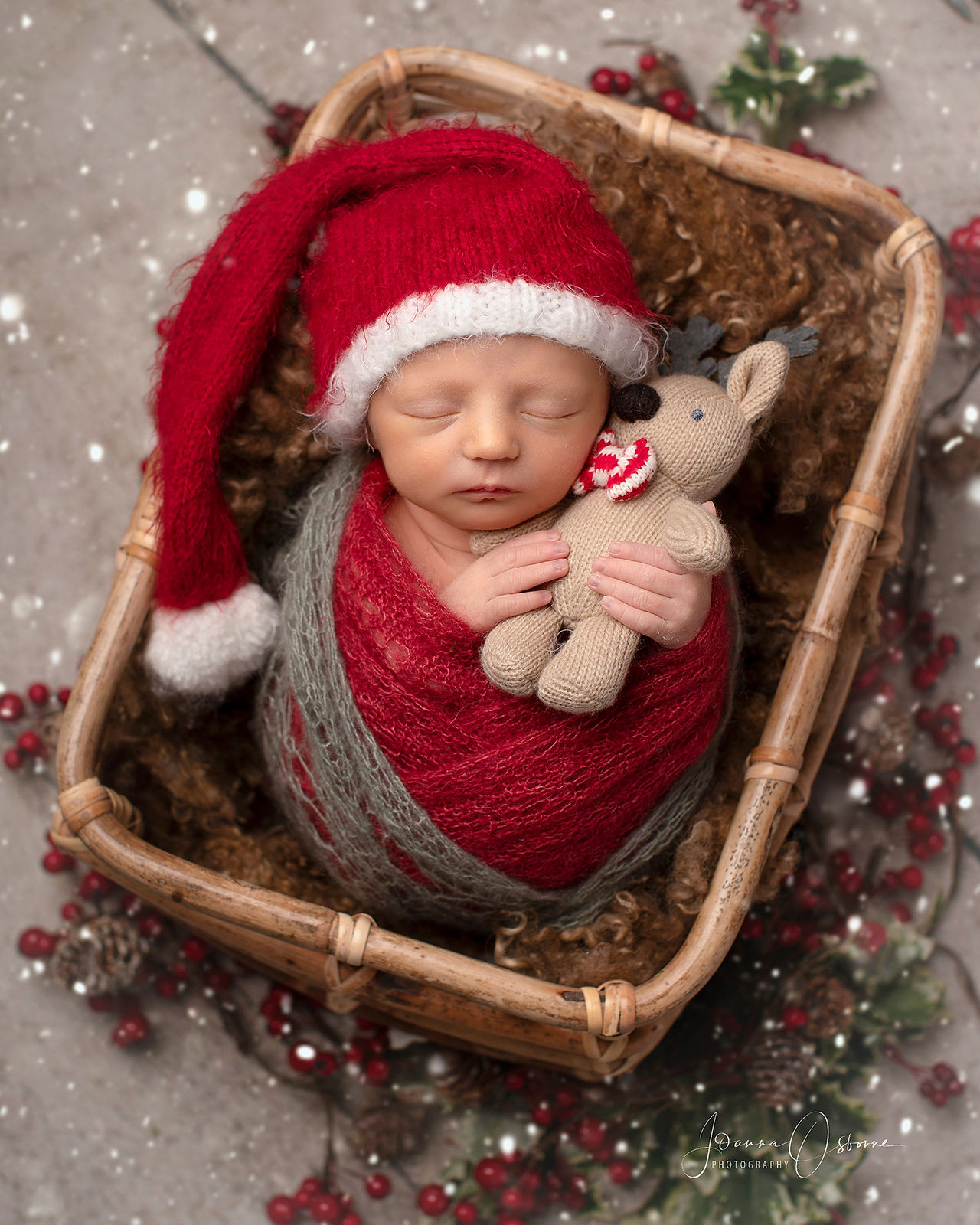 Christmas Newborn Photoshoot