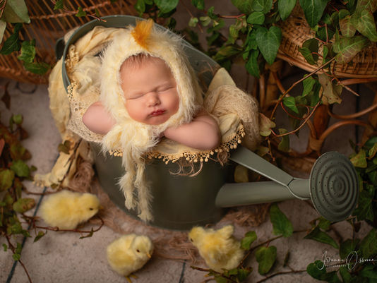 Newborn Photography Bradford on Avon