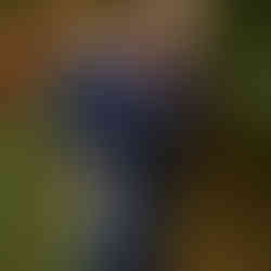 Westonbirt Arboretum Photoshoot