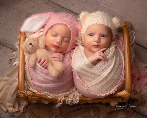 Newborn Twin Photography