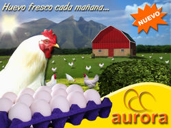 granja+aurora+60cm+base+x+45cm+altura