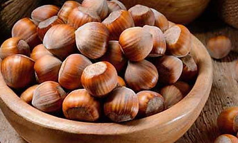 nocciole_cover-1200x720.jpg