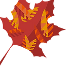 1111.png