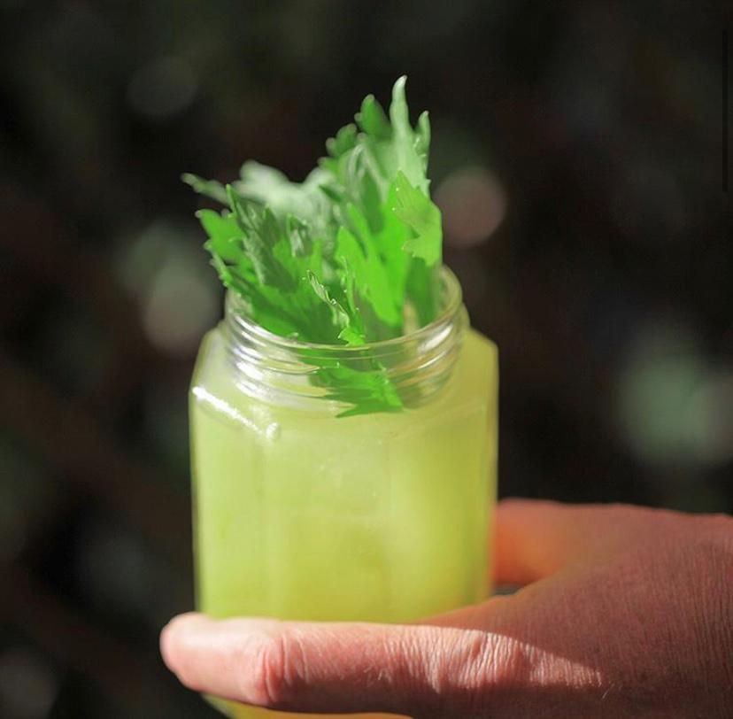 basilic-instinct-shakensmash-cocktails.jpeg